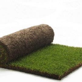 Lawn Turf in Bolton