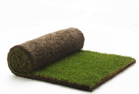 Lawn Turf in Bolton