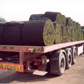 Big roll turf