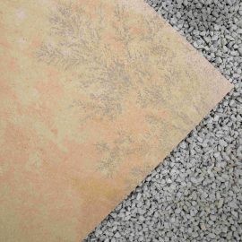 Fossil Mint Porcelain